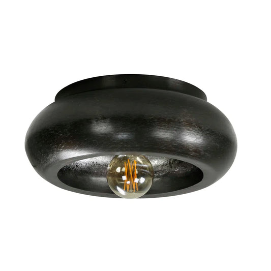 Ascutney 1-Light Ceiling Light
