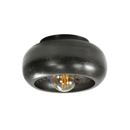 Ascutney 1-Light Ceiling Light
